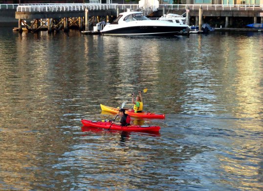 Kayakers in harbour near False Creek